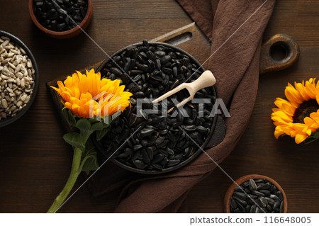 Sunflower seeds, tasty snack, concept of harvest 116648005