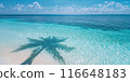 A serene beach scene with clear blue water and a palm tree shadow cast on the sand. 116648183