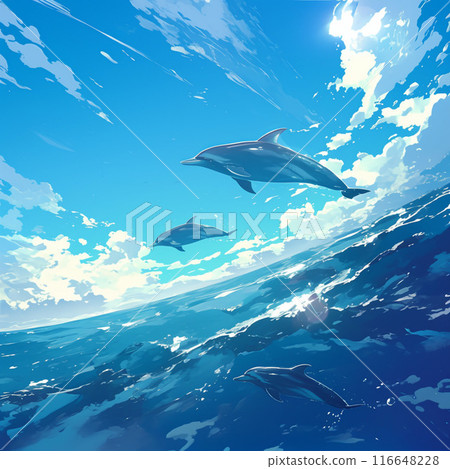 游泳在天空的海豚 游泳在天空的海豚 116648228