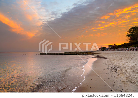 View of sand beach with wooden breakwaters on the Baltic Sea coast on sunrise in Zelenogradsk. Russia 116648243