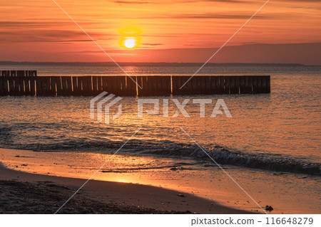 View of sand beach with wooden breakwaters on the Baltic Sea coast on sunset in Zelenogradsk. Russia 116648279