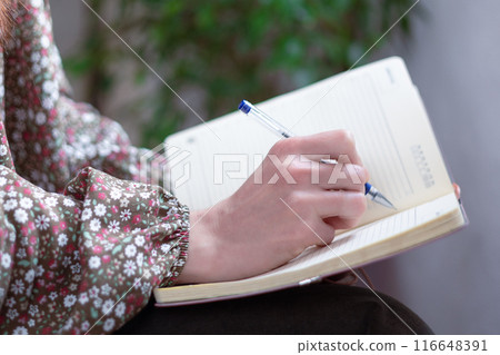 Close-up of a womans hands holding a notebook and a pen, and making a note. Journalism. 116648391