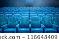 Empty blue theater seats in rows, waiting for the show to begin.  A sense of anticipation hangs in the air. 116648409