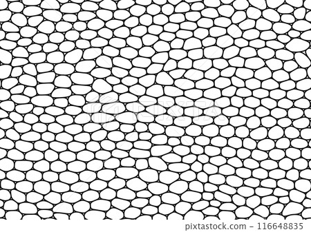 Seamless mesh pattern resembling stone walls or reptile leather 116648835