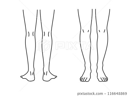 從正面和背面看到的腿的線條畫插圖 從正面和背面看到的腿的線條畫插圖 116648869
