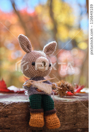 Animal Amigurumi Knitting 116649189