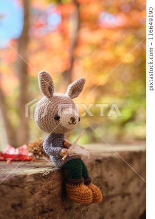 Animal Amigurumi Knitting 116649190