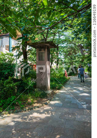 花Michi 116649199