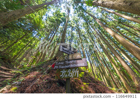 [Kamikatsu Town] Signboard leading to Yamainu-dake 116649911