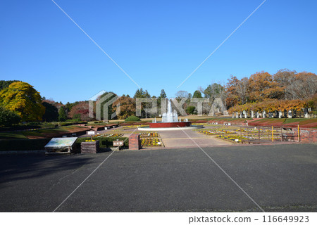 茨城縣植物園 2023-11-28 #139 116649923