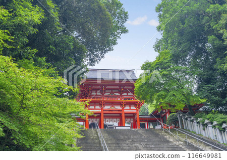 Omi Shrine Tower Gate (Otsu City, Shiga Prefecture) Omi Shrine Tower Gate (Otsu City, Shiga Prefecture) 116649981