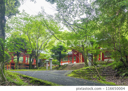 Omi Shrine North Gate (Otsu City, Shiga Prefecture) Omi Shrine North Gate (Otsu City, Shiga Prefecture) 116650004