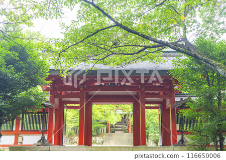 Omi Shrine North Gate (Otsu City, Shiga Prefecture) 116650006