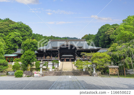 Omi Shrine Outer Worship Hall (Otsu City, Shiga Prefecture) Omi Shrine Outer Worship Hall (Otsu City, Shiga Prefecture) 116650022