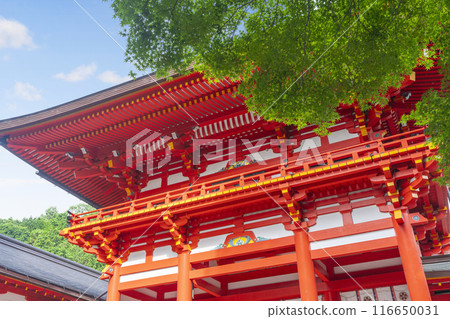Omi Shrine Tower Gate (Otsu City, Shiga Prefecture) Omi Shrine Tower Gate (Otsu City, Shiga Prefecture) 116650031