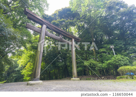 Omi Shrine, Second Torii (Otsu City, Shiga Prefecture) Omi Shrine, Second Torii (Otsu City, Shiga Prefecture) 116650044