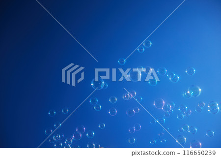 Floating Bubbles Against Blue Sky 116650239