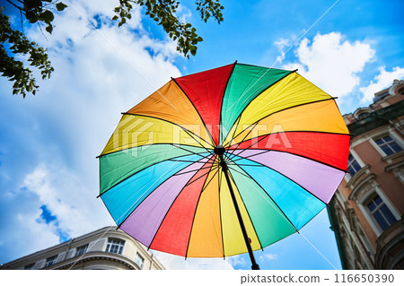 Colorful Umbrella in Blue Sky Colorful Umbrella in Blue Sky 116650390