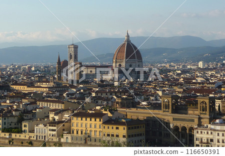 Florence, Tuscany, Italy Florence, Tuscany, Italy 116650391