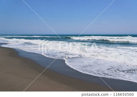 [Atsumi Peninsula] A long sandy beach with rough waves crashing on the shore 116650560