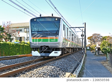 鐵路 JR 東日本：高崎線 E233 系列 116650598