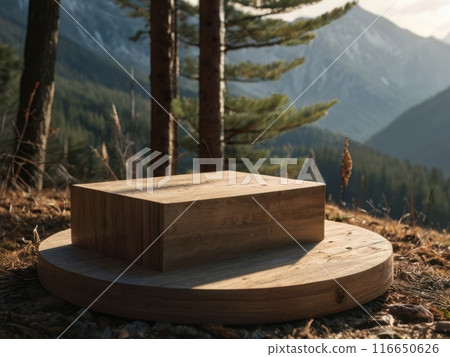 Product empty podium with mountain forest view on a sunny day  116650626