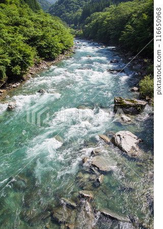 【翠綠色的溪流】岐阜縣馬瀨川上游 【翠綠色的溪流】岐阜縣馬瀨川上游 116650968