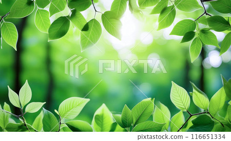 Fresh green leaves and sunlight filtering through the trees, Generative AI, AI images 116651334