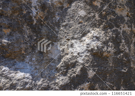 Background texture of stone sandstone surface 116651421