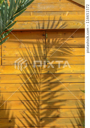 The shadow of the palm branch on a wooden surface The shadow of the palm branch on a wooden surface 116651572