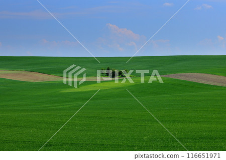 Hilly view of the Moravian steppe near the Rolling Hills viewpoint, South Moravia, Czech Republic, Central Europe 116651971