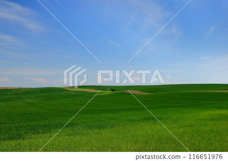 Hilly view of the Moravian steppe near the Rolling Hills viewpoint, South Moravia, Czech Republic, Central Europe 116651976