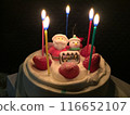 Christmas cake 116652107