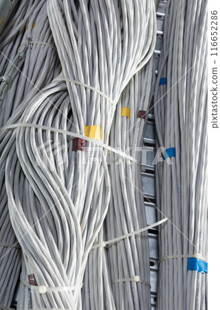 detail of large number of ethernet cables tied together connecting racks inside server room 116652286