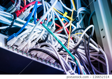 various ethernet cables plugged in network switch 116652314