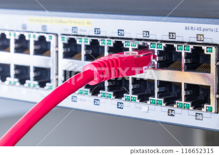 red ethernet cable plugged in internet switch 116652315