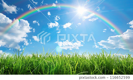Rainbow Over Grass 116652599