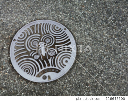 昆蟲圖案井蓋 昆蟲圖案井蓋 116652600