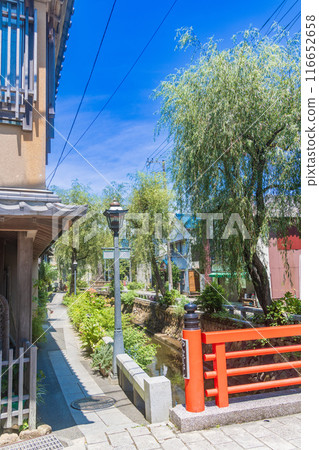 [Shizuoka Prefecture] Perry Road in Shimoda City, Summer 116652658