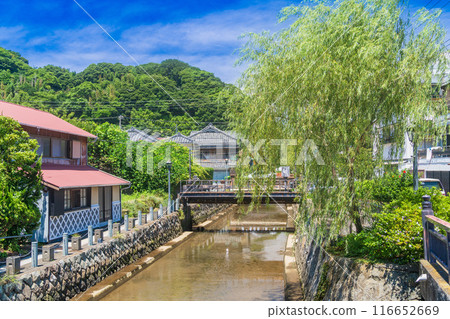 [Shizuoka Prefecture] Perry Road in Shimoda City, Summer 116652669