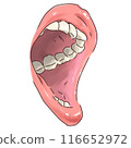 Sideways open mouth 116652972