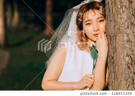 野餐婚禮、前期拍攝 野餐婚禮、前期拍攝 116653169