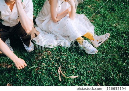 Picnic wedding, pre-wedding photo shoot 116653194