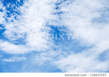 Summer sky, blue sky, sunny sky, sky material [Tokyo] 116653507