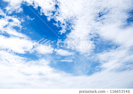 夏天的天空藍天晴朗的天空素材[東京] 116653548