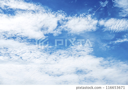 夏天的天空藍天晴朗的天空素材[東京] 116653671