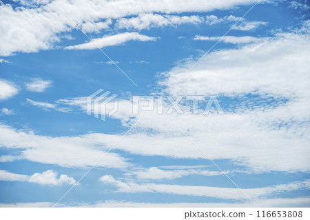 Summer sky, blue sky, sunny sky, sky material [Tokyo] 116653808