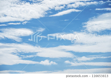 夏天的天空藍天晴朗的天空素材[東京] 116653813