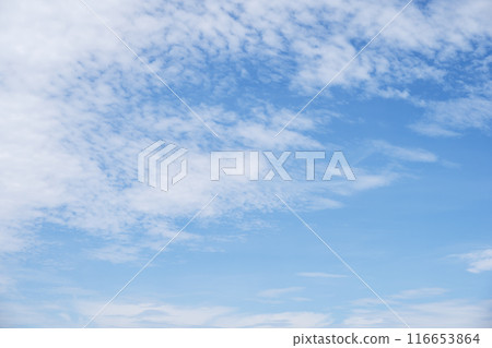 Summer sky, blue sky, sunny sky, sky material [Tokyo] 116653864