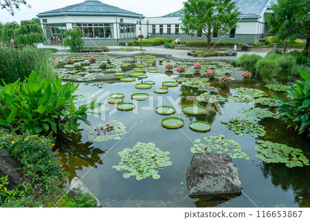滋賀縣草津市水生植物公園水之森水庭園花影池·蓮花館 116653867